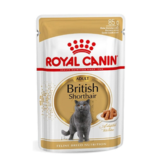 85gr Pate Adult British Shorthair Royal Canin Mèo