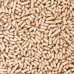 Cát gỗ Cature Natural Wood Clumping 6L-2.4kg