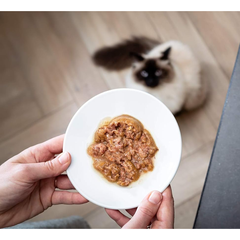 Pate thạch Delicup Fresh