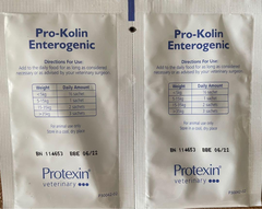 Men vi sinh Pro-Kolin Enterogenic Chó Mèo