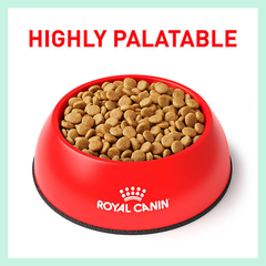 Hạt Urinary S/O Royal Canin cho Mèo hỗ trợ Sỏi thận, Tiết niệu