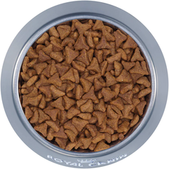 Hạt Hairball Care Royal Canin cho Mèo trưởng thành trên 12 tháng tiêu búi lông