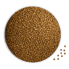 Hạt Mother & Babycat Royal Canin cho Mèo mẹ Mèo con