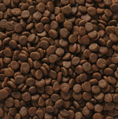 Hạt Pro Pac Ultimates Bayside Select vị Cá cho Chó