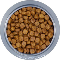 Hạt Poodle Adult Royal Canin cho Chó Poodle trưởng thành