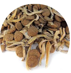 Hạt Snappy Tom Tuna Chicken Cá Ngừ Thịt Gà