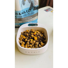 Hạt Mister Donut T1 & T2