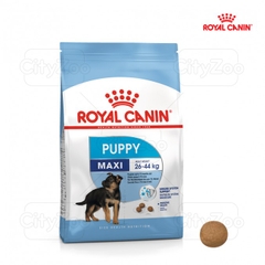 Hạt Maxi Puppy Royal Canin cho Chó con Lông dài