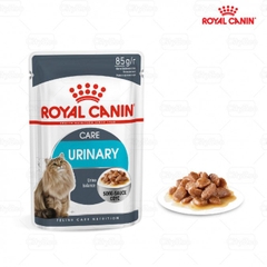 Pate Care Urinary Royal Canin Mèo tiết niệu
