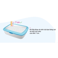 6L|5.1kg - Hộp White Sand Cát vệ sinh Mèo