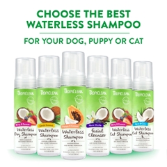 Dog/Cat Waterless Shampoo - Bọt tắm khô Tropiclean cho Chó Mèo