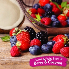 Dog/Cat Waterless Shampoo - Bọt tắm khô Tropiclean cho Chó Mèo