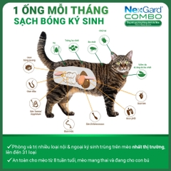 Nhỏ gáy NexGard COMBO cho Mèo