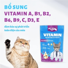 Pate chức năng Mr.Vet cho Mèo