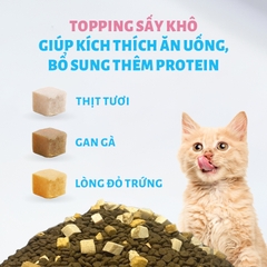 Hạt Mr.Vet cho Mèo T1 & T2 & T3 & T4 & G1