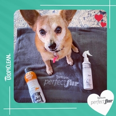 Sữa tắm Tropiclean Perfect Fur cho Chó