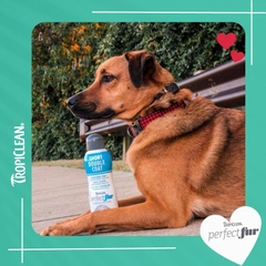 Sữa tắm Tropiclean Perfect Fur cho Chó