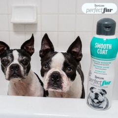 Sữa tắm Tropiclean Perfect Fur cho Chó