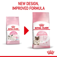 Hạt Mother & Babycat Royal Canin cho Mèo mẹ Mèo con