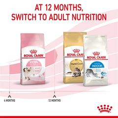Hạt Kitten 36 Royal Canin dành cho mèo con từ 4 - 12 tháng tuổi