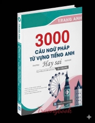 3000 câu Ngữ pháp và Từ vựng hay sai