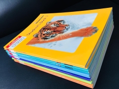 Collins International Primary Science (Sách nhập khẩu) - Bộ 12 cuốn