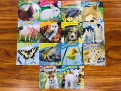 See How They Grow - 14 quyển + File Mp3