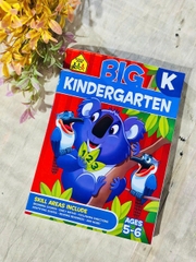 BIG KINDERGARTEN WORKBOOK K - AGES 5 - 6