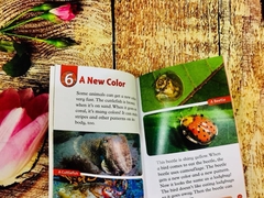 Oxford read and discover (Sách nhập) - Level 2 - 20 quyển + File Mp3