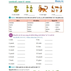 Bí kíp chinh phục Ngữ pháp Tiếng Anh THCS