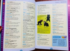 The Usborne English for Write (Sách nhập) - 3 quyển