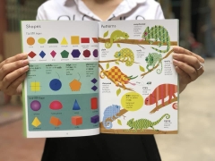 The Usborne English for Write (Sách nhập) - 3 quyển
