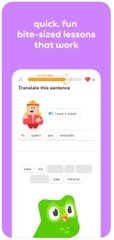 Duolingo - Gói 1 năm