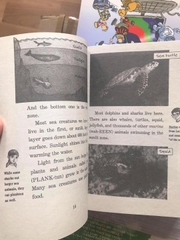 Magic treehouse Fact tracker (Sách nhập) - 44 quyển