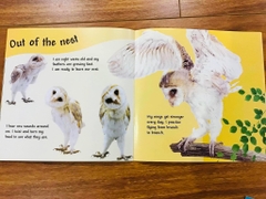 See How They Grow - 14 quyển + File Mp3