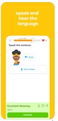 Duolingo - Gói 1 năm
