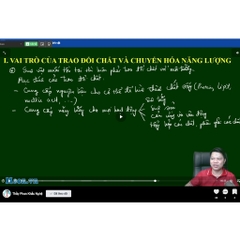 Tự học Sinh học lớp 11 Tập 2