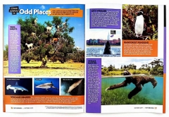 National Geographic Little Kids (Sách nhập) - 18 quyển