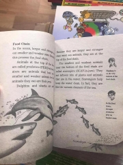 Magic treehouse Fact tracker (Sách nhập) - 44 quyển