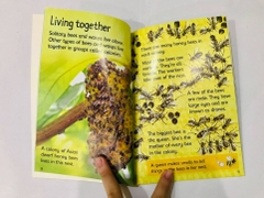 Usborne biginners Nature (Sách nhập) - 10 quyển - Bìa mềm