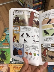 Science Comics (Sách nhập) - Full bộ 30 quyển mới nhất