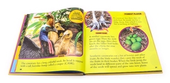 National Geographic Little Kids First Big Book (Sách nhập) - Trọn bộ 9 quyển khổ to