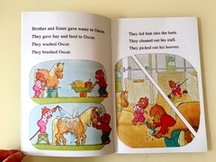 The Berenstain bears (Sách nhập) - 34 quyển