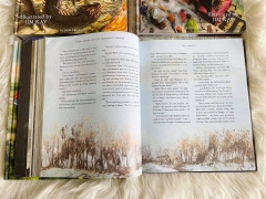 HARRY POTTER (Sách nhập) - Bộ 5 quyển Bìa cứng siêu đẹp