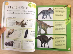 Dinosaurs - Dành cho các bạn đam mê khủng Long