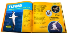 National Geographic Little Kids First Big Book (Sách nhập) - Trọn bộ 9 quyển khổ to