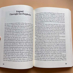 365 DAYS OF WONDER  BOXED SET - Trọn bộ 3 quyển