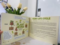Sơ đồ tư duy 46 chủ đề (phiên bản mới)