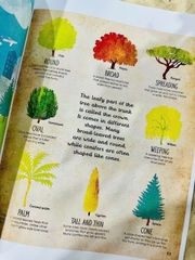 The Magic and Mystery of Trees