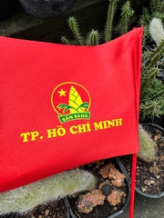 🚩 CỜ CẦM TAY IN THEO YÊU CẦU